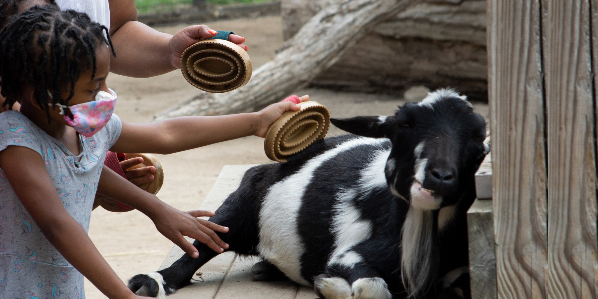 potter park zoo birthday party