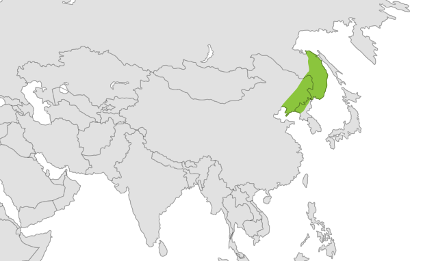Amur Tiger location map