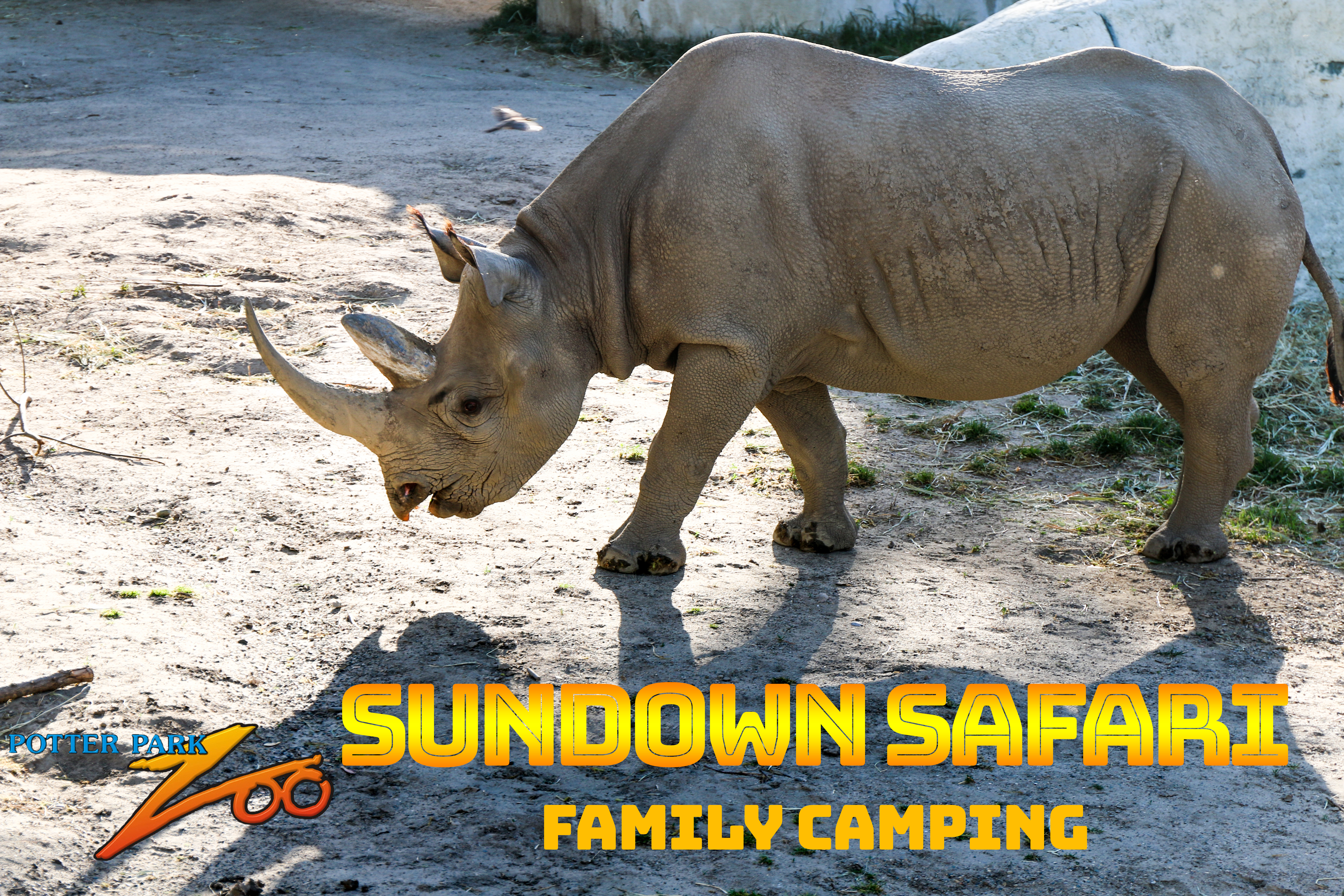 Sundown Safari banner