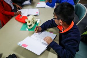 photo of a boy taking notes in a notebook while looking at an animal skull.