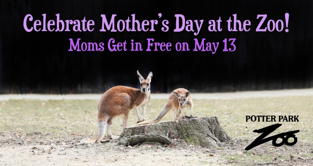 Mother’s Day at the Zoo Moms Get FREE Admission