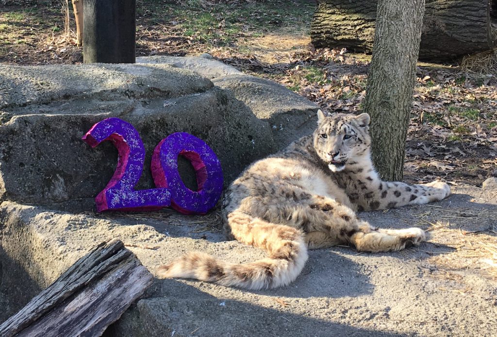 Caring for Potter Park Zoo’s Elderly Animals Potter Park Zoo