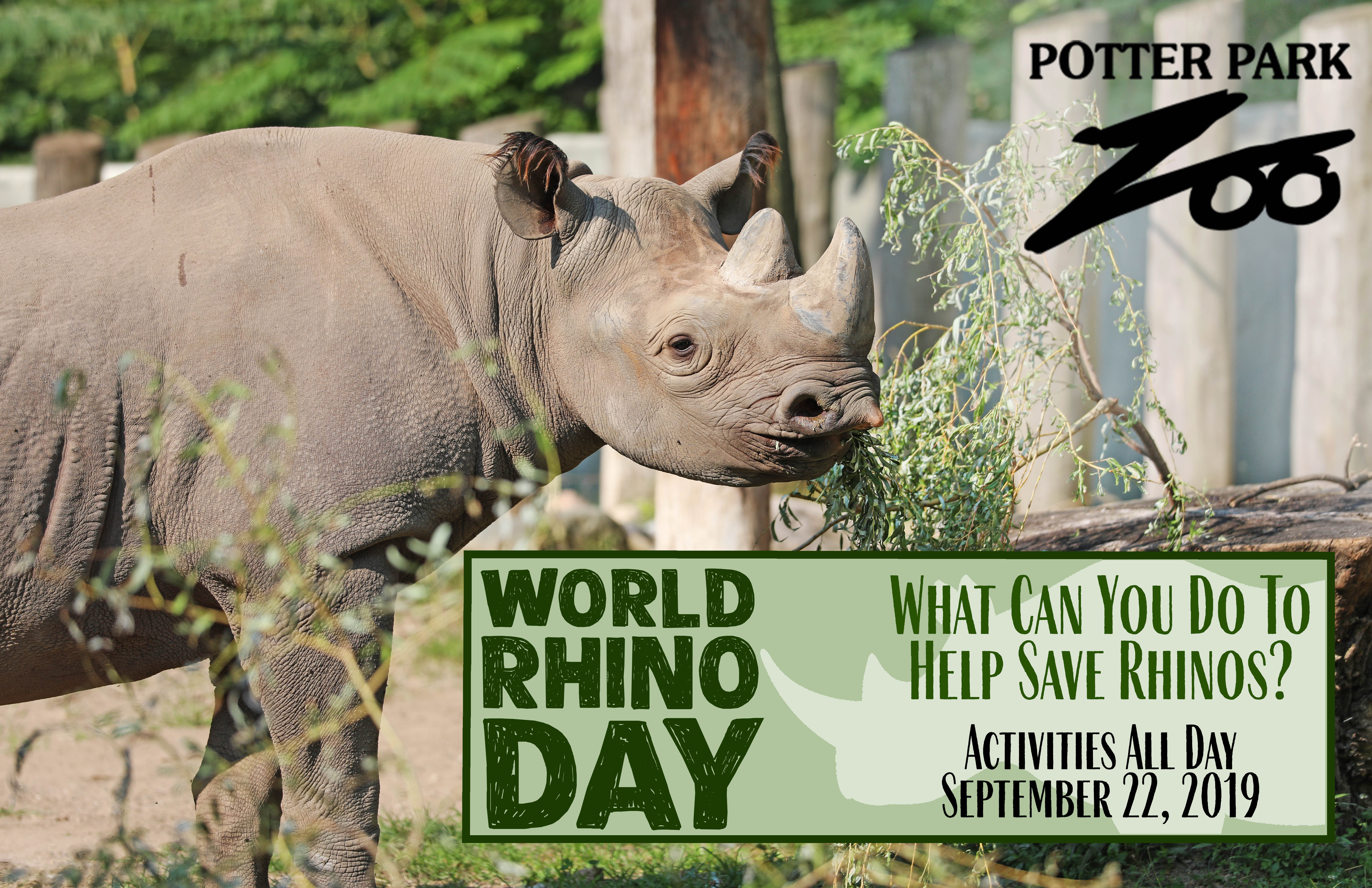 World Rhino Day - What Can You Do To Help Save Rhinos? banner