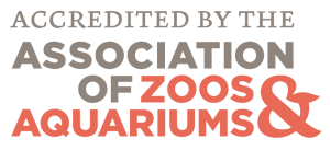 Accredited by the Association of Zoos and Aquariums logo.