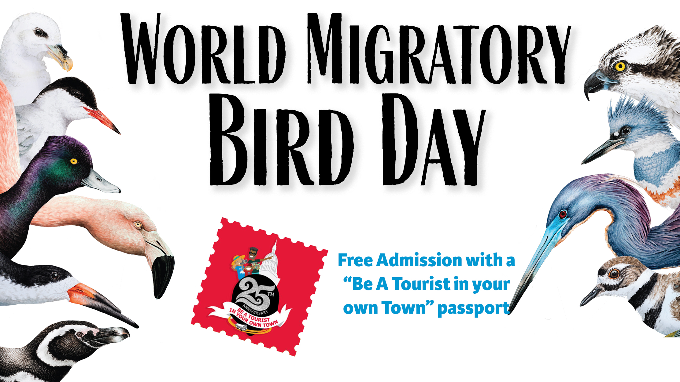 World Migratory Bird Day banner