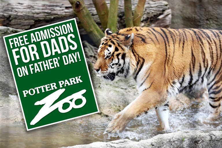 Father’s Day at the Zoo Dads Get FREE Admission