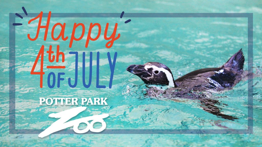 fourth of july zoo miami