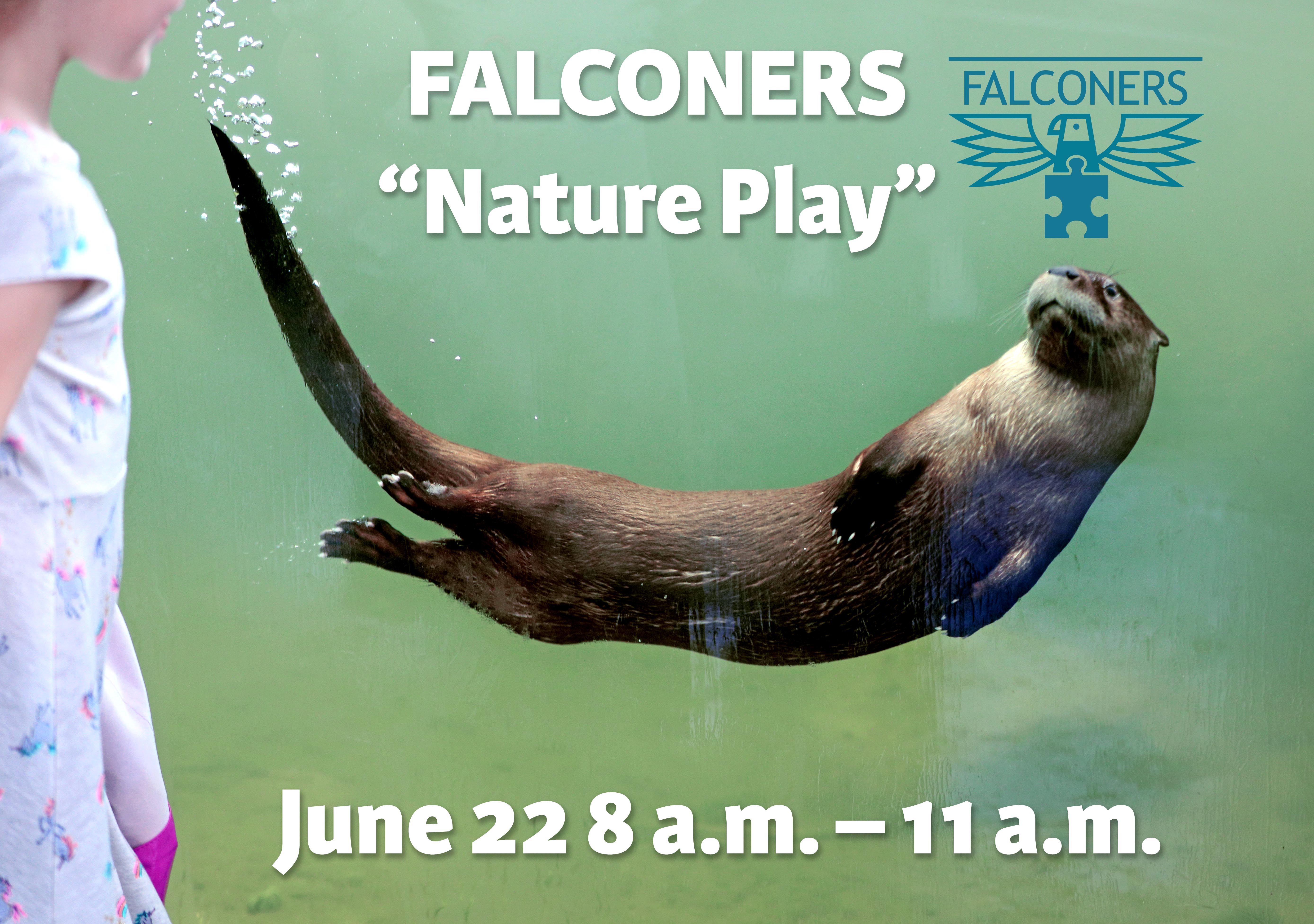 Falconers Nature Play banner