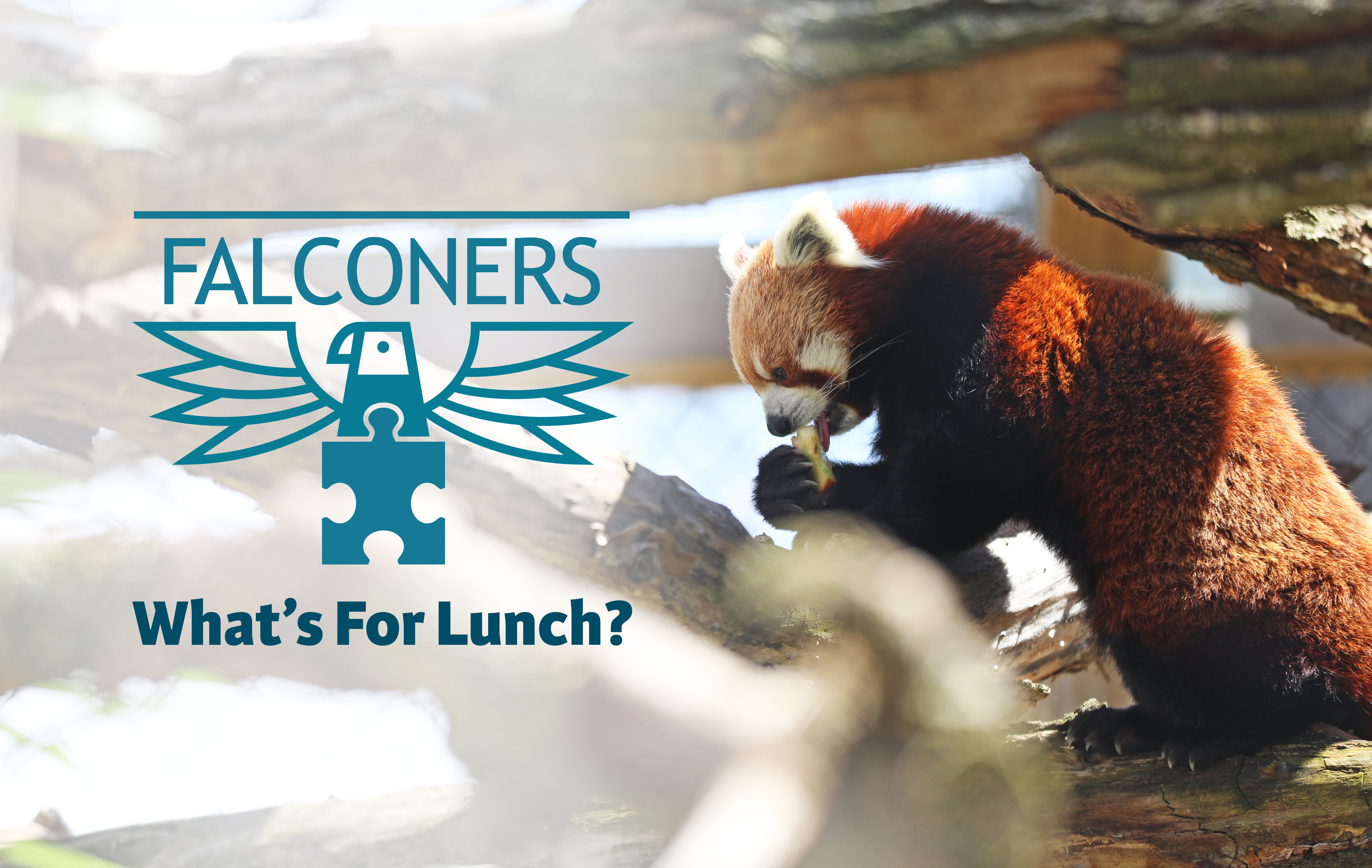 Falconers - What's for Lunch banner