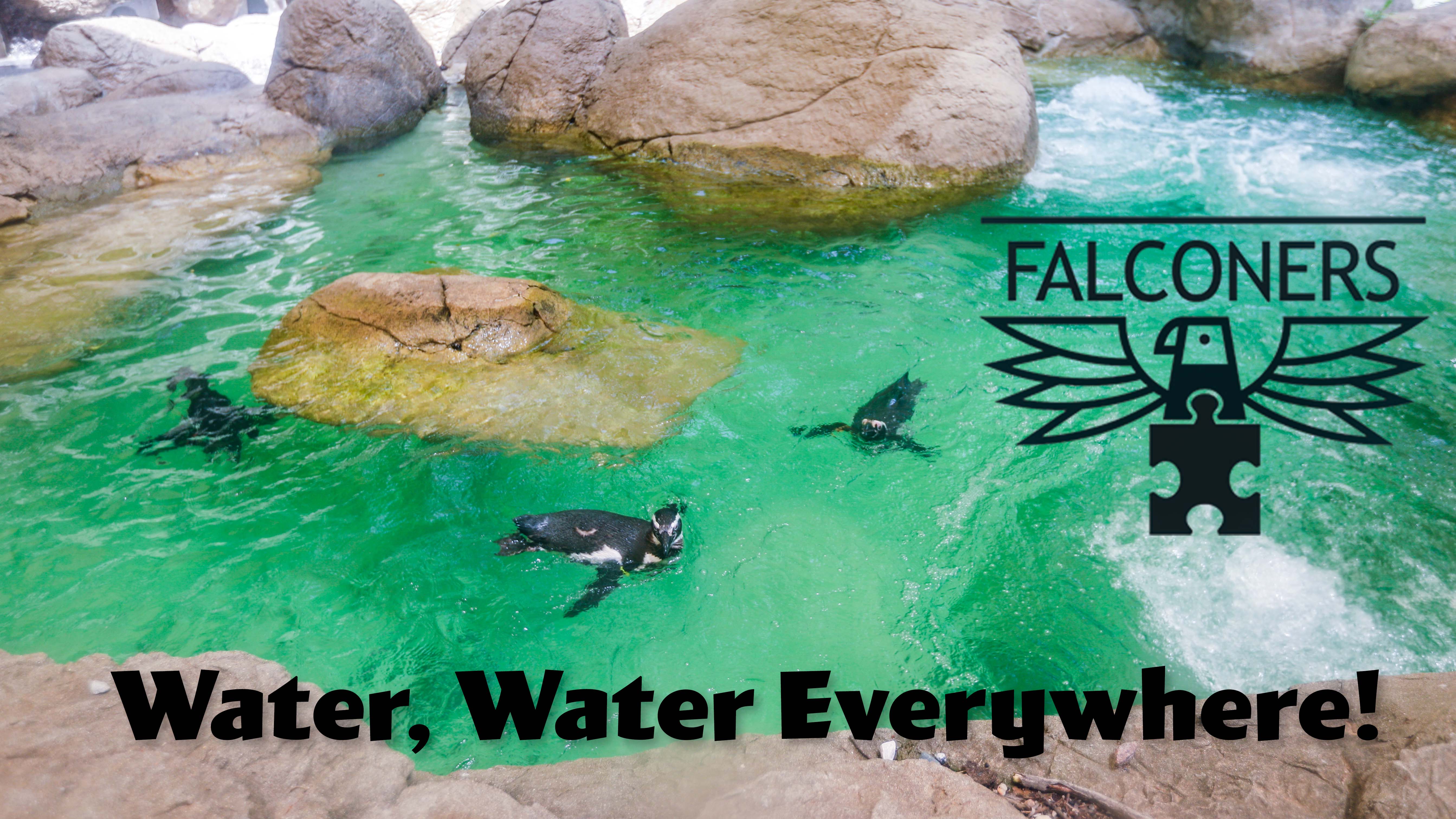 Falconers - Water, Water Everywhere banner