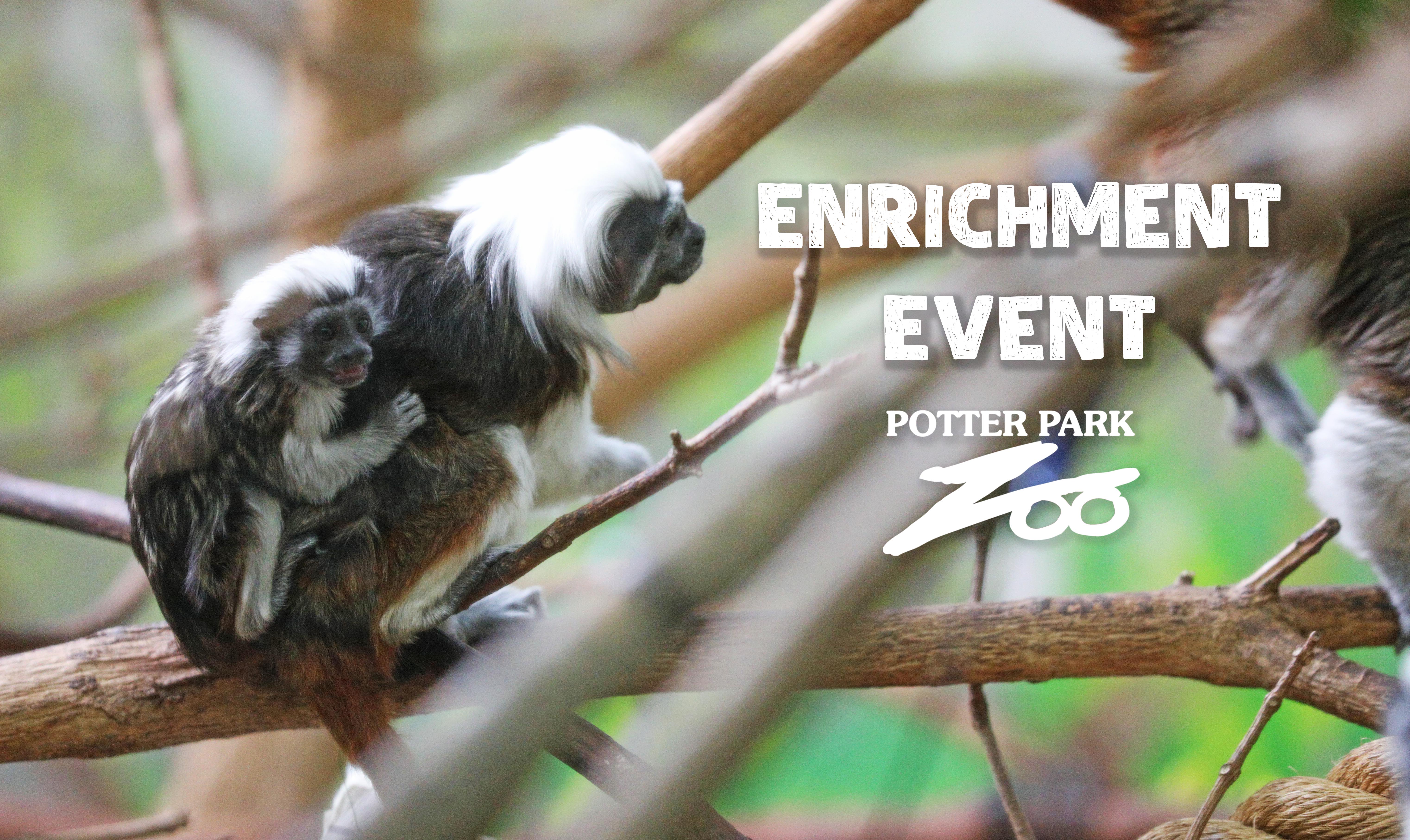 Enrichment Event - Potter Park Zoo banner