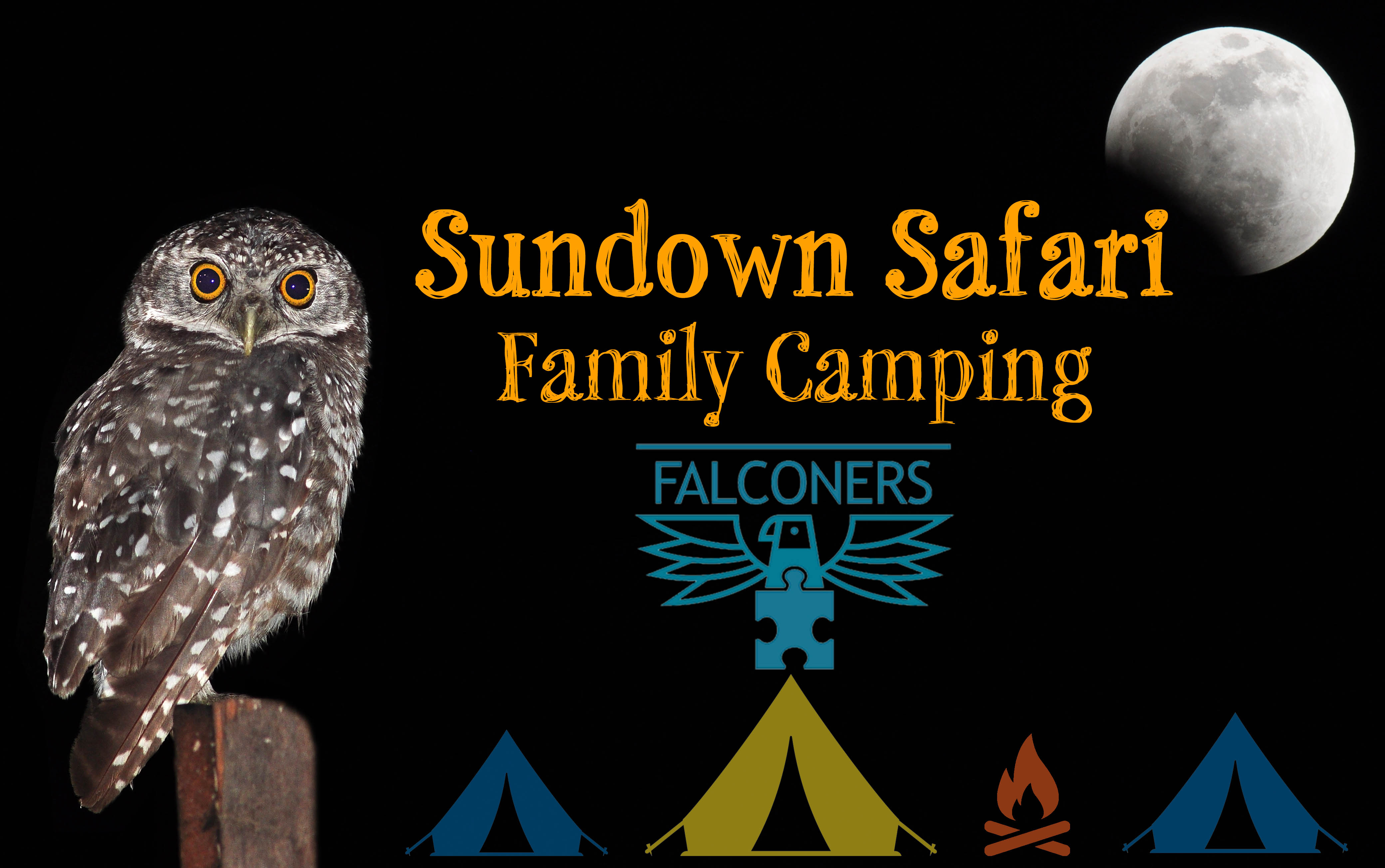 Sundown Safari - Family Camping Falconers