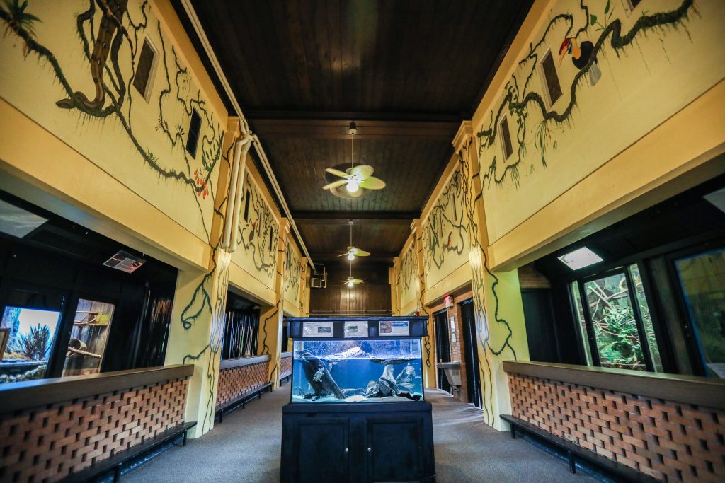 Attractions Potter Park Zoo