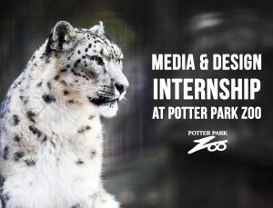 Graphic of a white leopard with text on the right that says "Media & Design Internship at Potter Park Zoo".