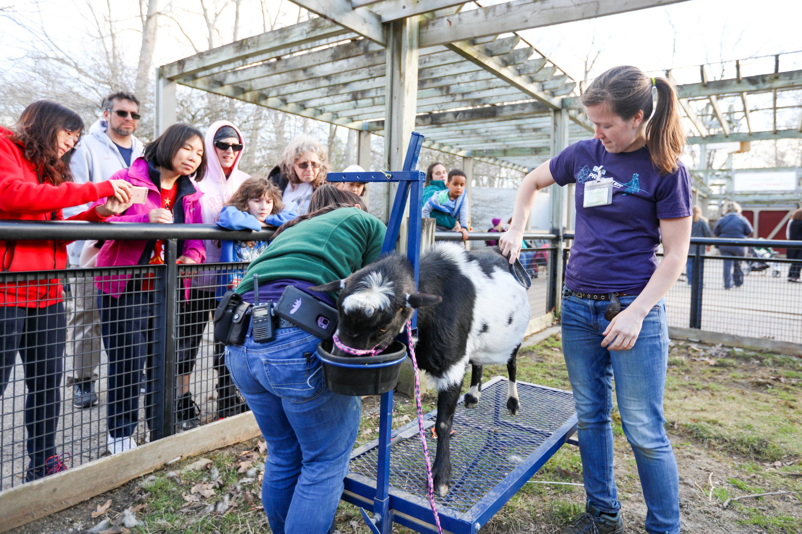 IMG_5228 Potter Park Zoo