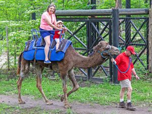 Photo of a woman and a child riding on a camel in the zoo.