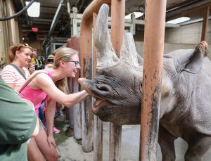 photo of people interacting with a rhino.