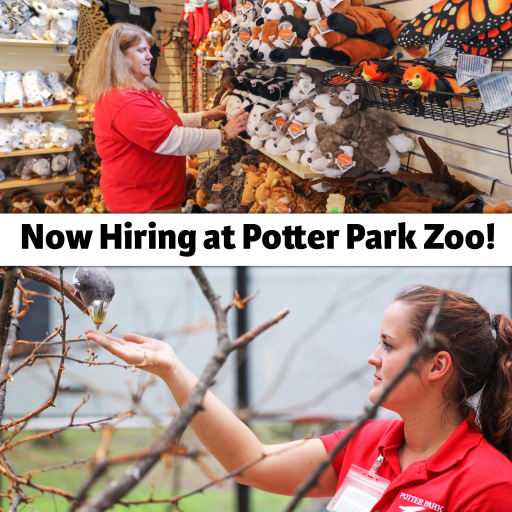 Job Openings Potter Park Zoo
