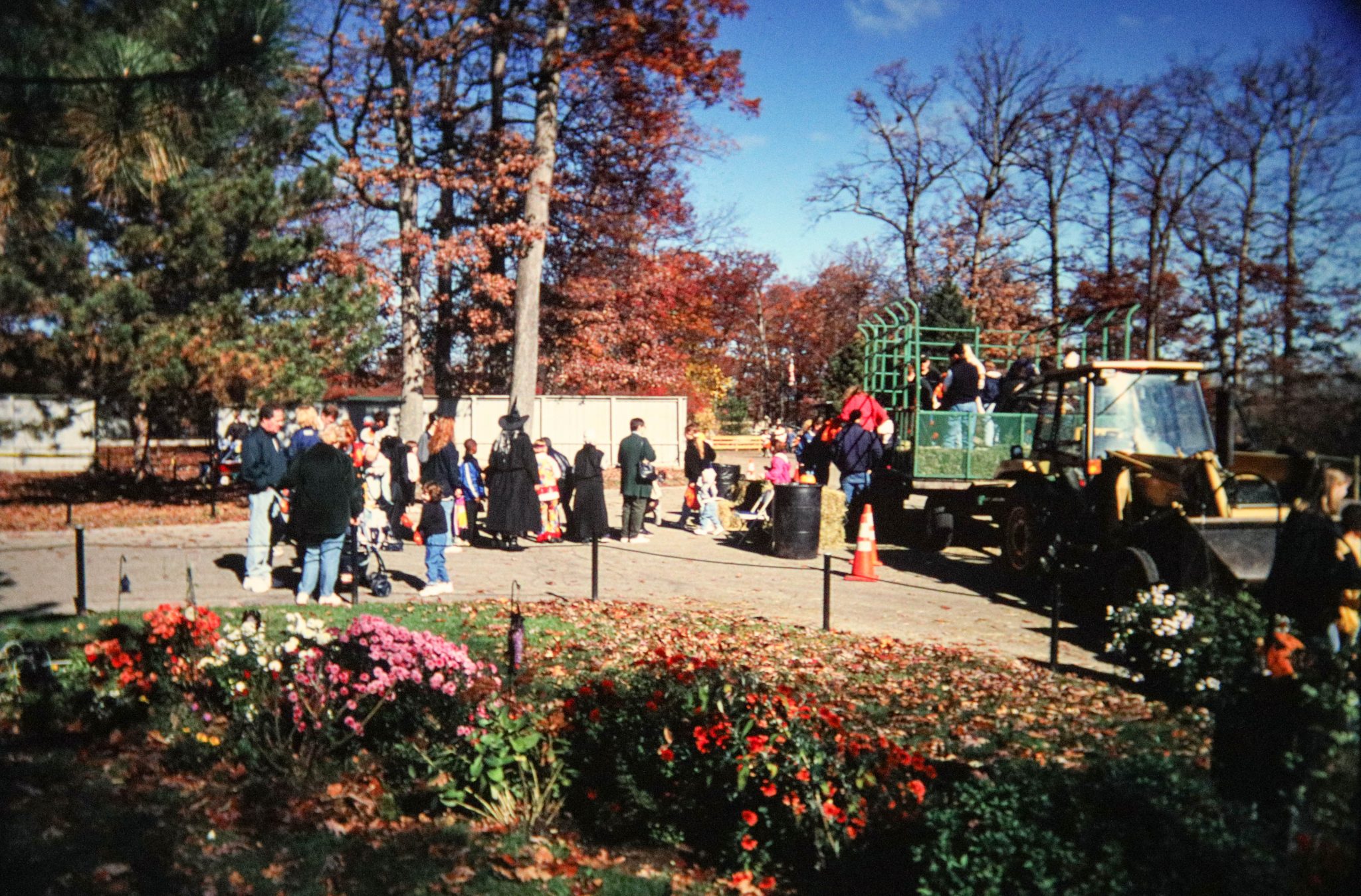 Throwback Thursday Family Traditions at Potter Park and the Zoo Potter Park Zoo