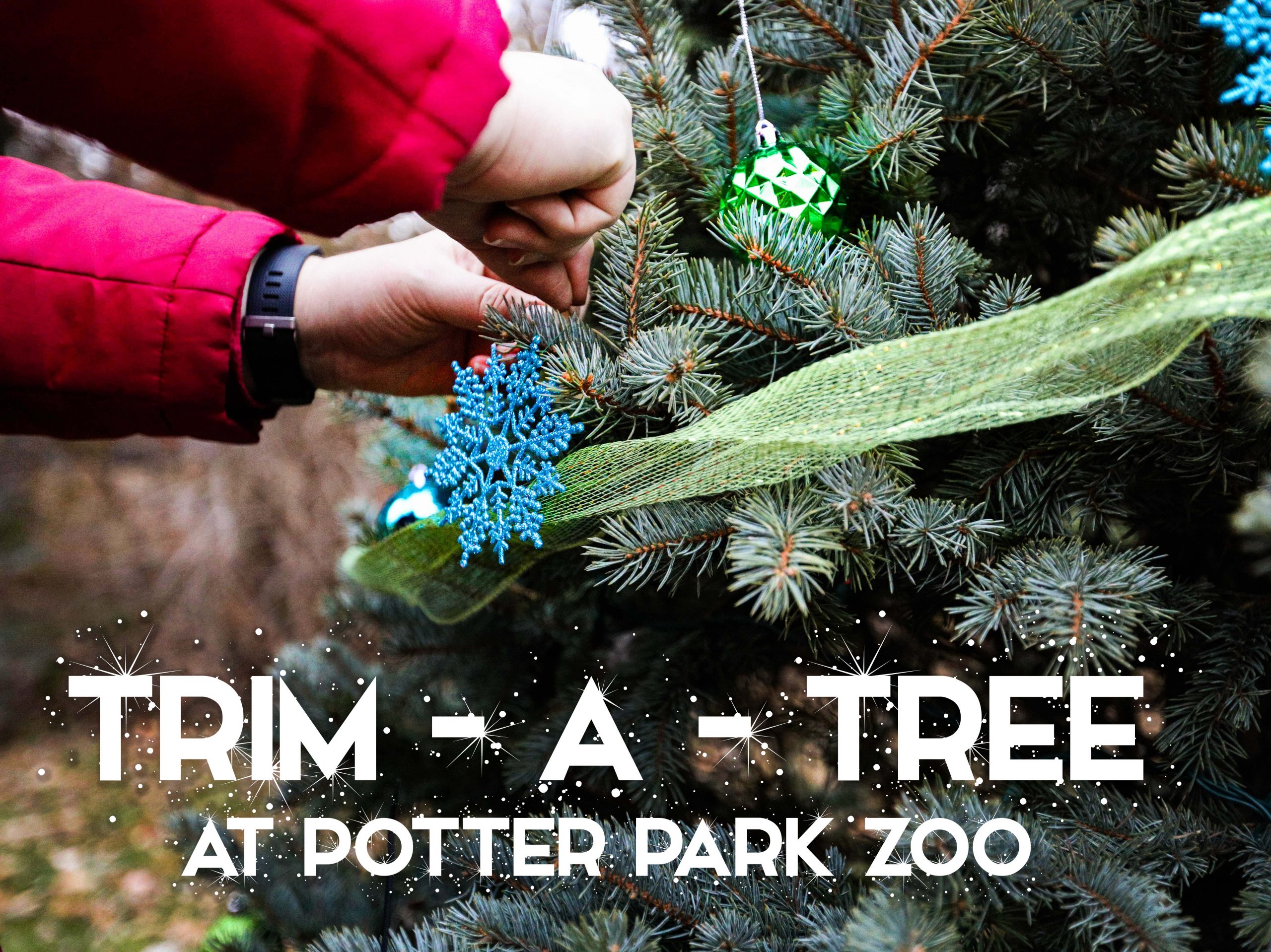 Sponsor a Tree for Wonderland of Lights! Potter Park Zoo