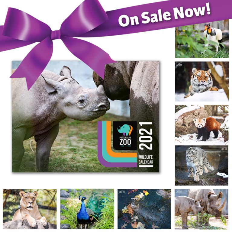 2021 Potter Park Zoo Wildlife Calendars Are Here! | Potter Park Zoo