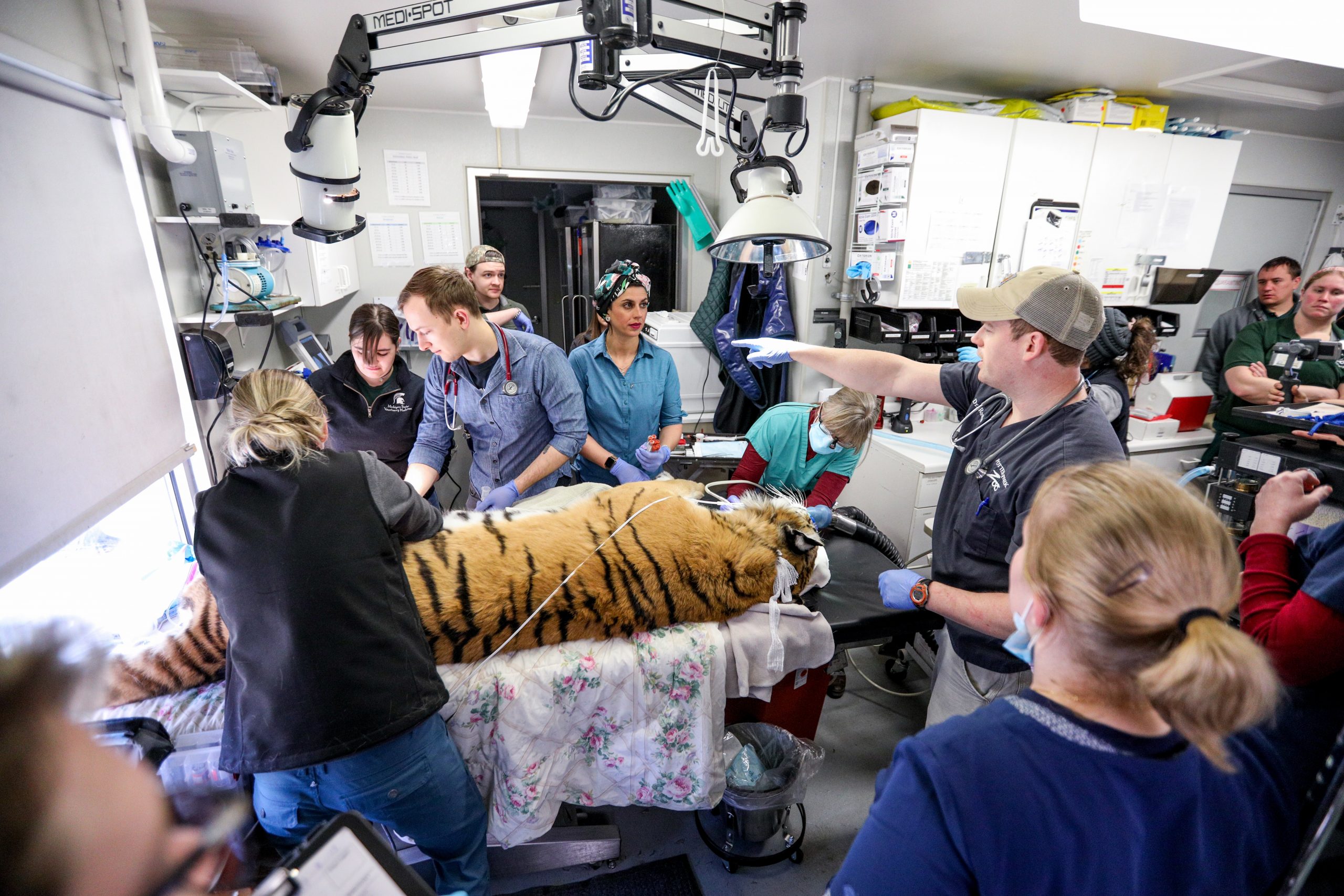 Potter Park Zoo Veterinary Department and Michigan State University College  of Veterinary Medicine (MSU CVM): 50 years of collaboration honored with  Distinguished Partnership Award for Community-Engaged Research. | Potter  Park Zoo