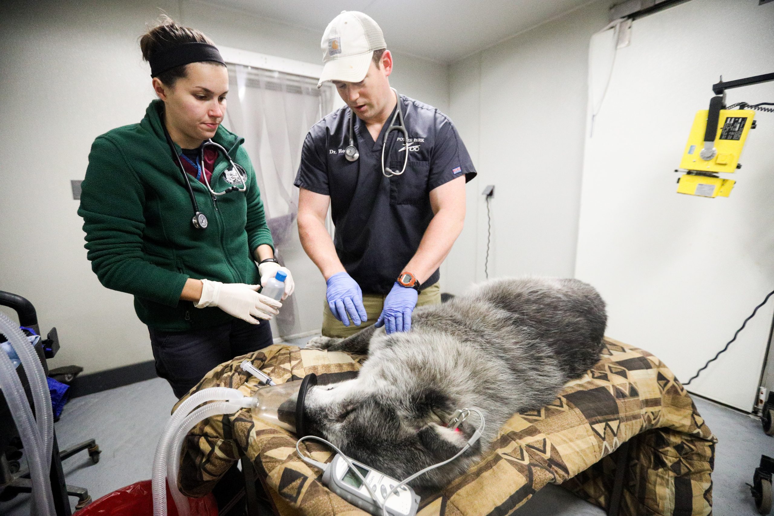 Potter Park Zoo Veterinary Department and Michigan State University