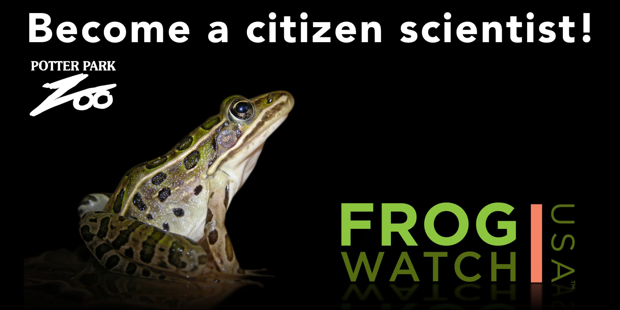 Become a Citizen Scientist: 2021 FrogWatch Training Sessions at Potter