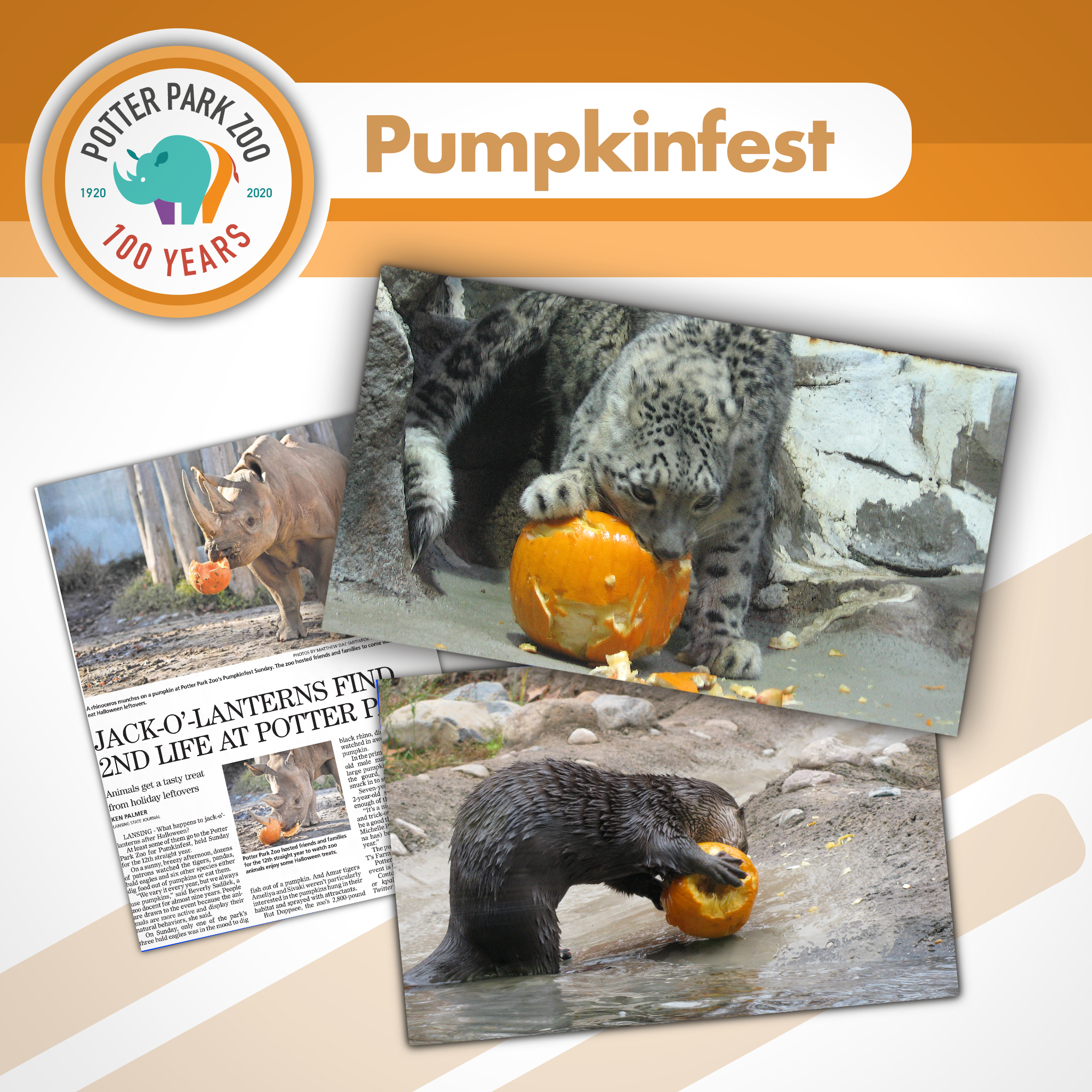 Throwback Thursday: Pumpkinfest | Potter Park Zoo