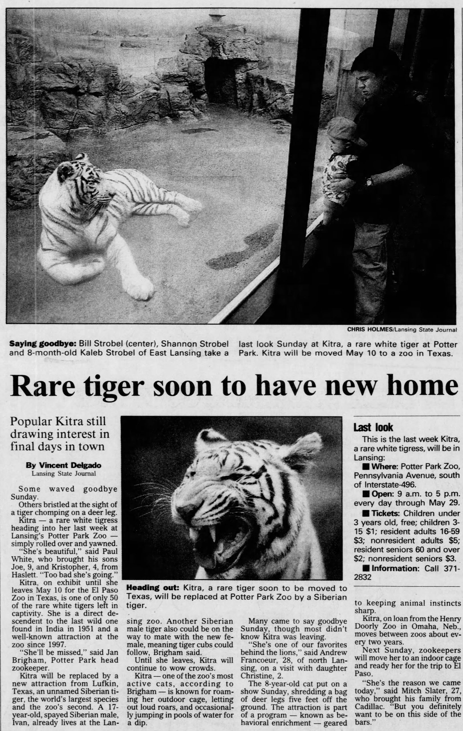 5 things to know about the white tiger