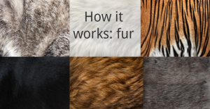 An image of different fur patterns that says "How it works: fur"