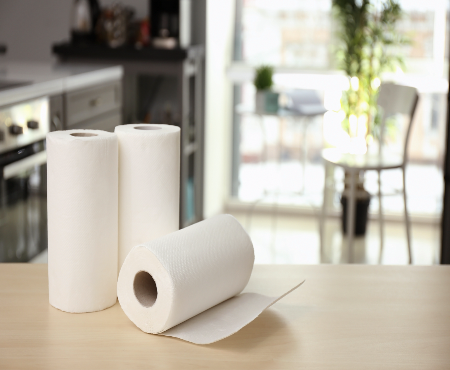 Ecolifestyle Reusable Bamboo Paper Towels