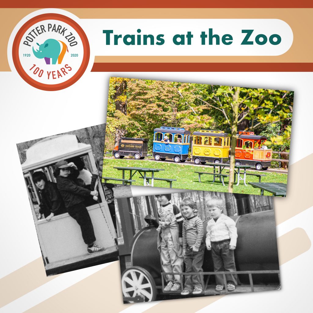 Throwback Thursday Trains at the Zoo Potter Park Zoo