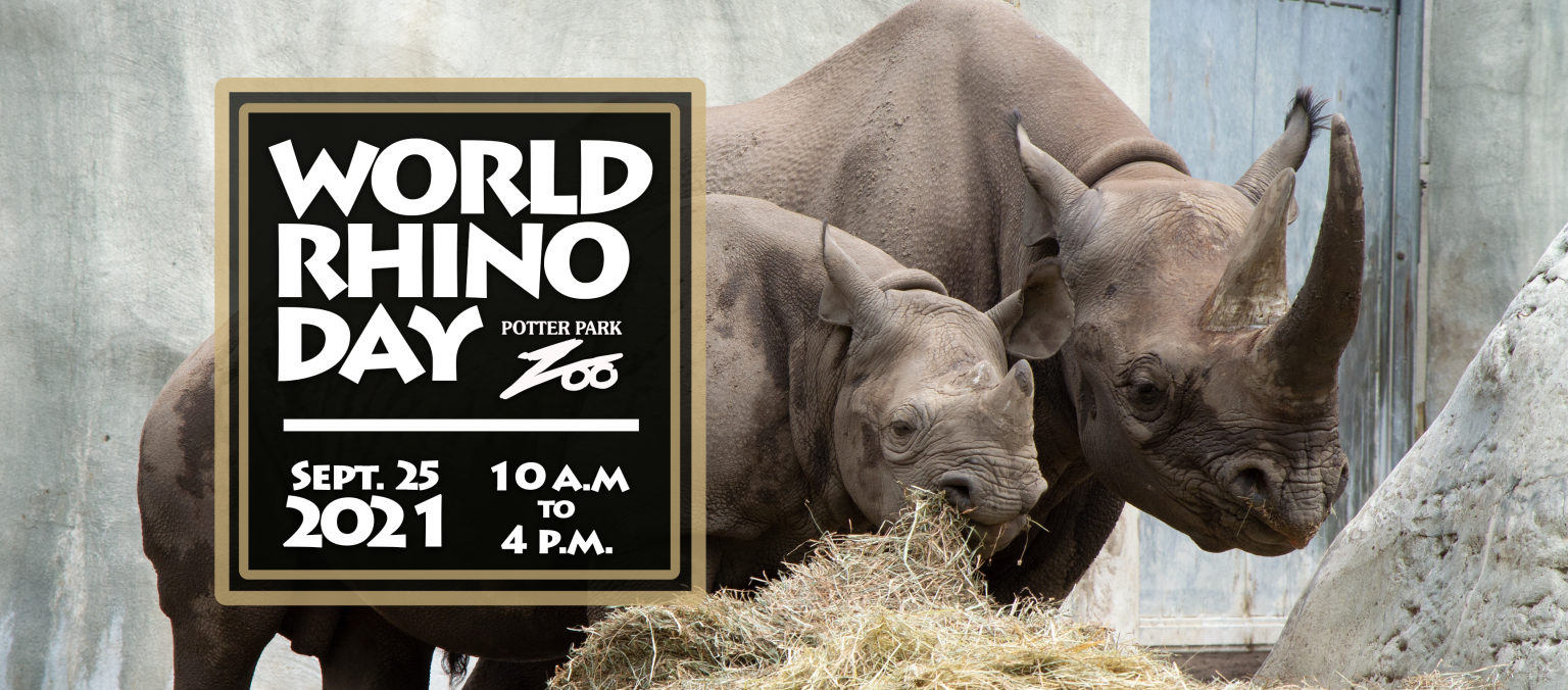 World Rhino Day