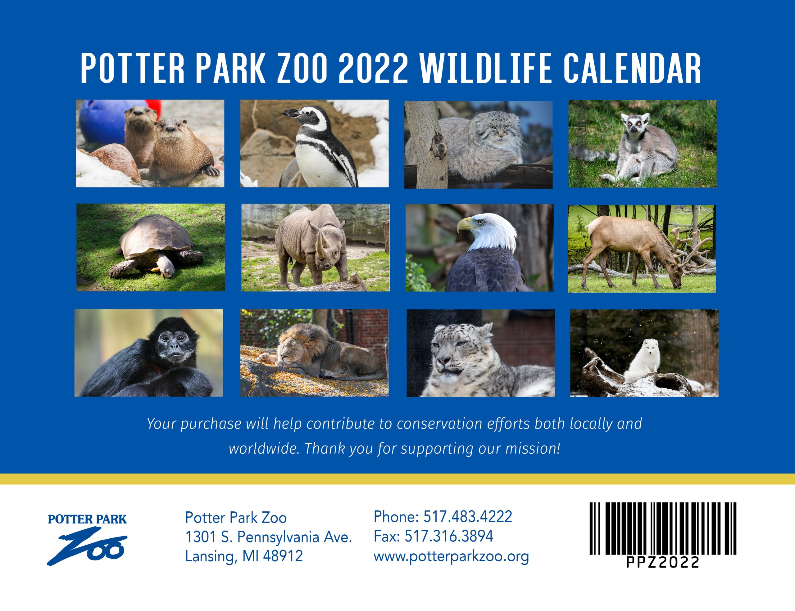 Zoo Animal Calendar 2022