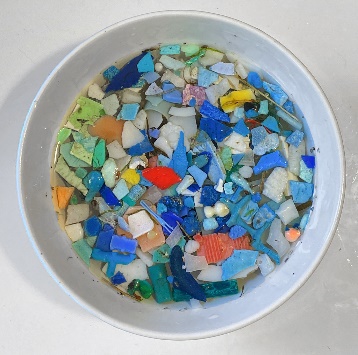 Action of the Week: Just Say No to Single-Use Plastics – Thompson Earth  Systems Institute