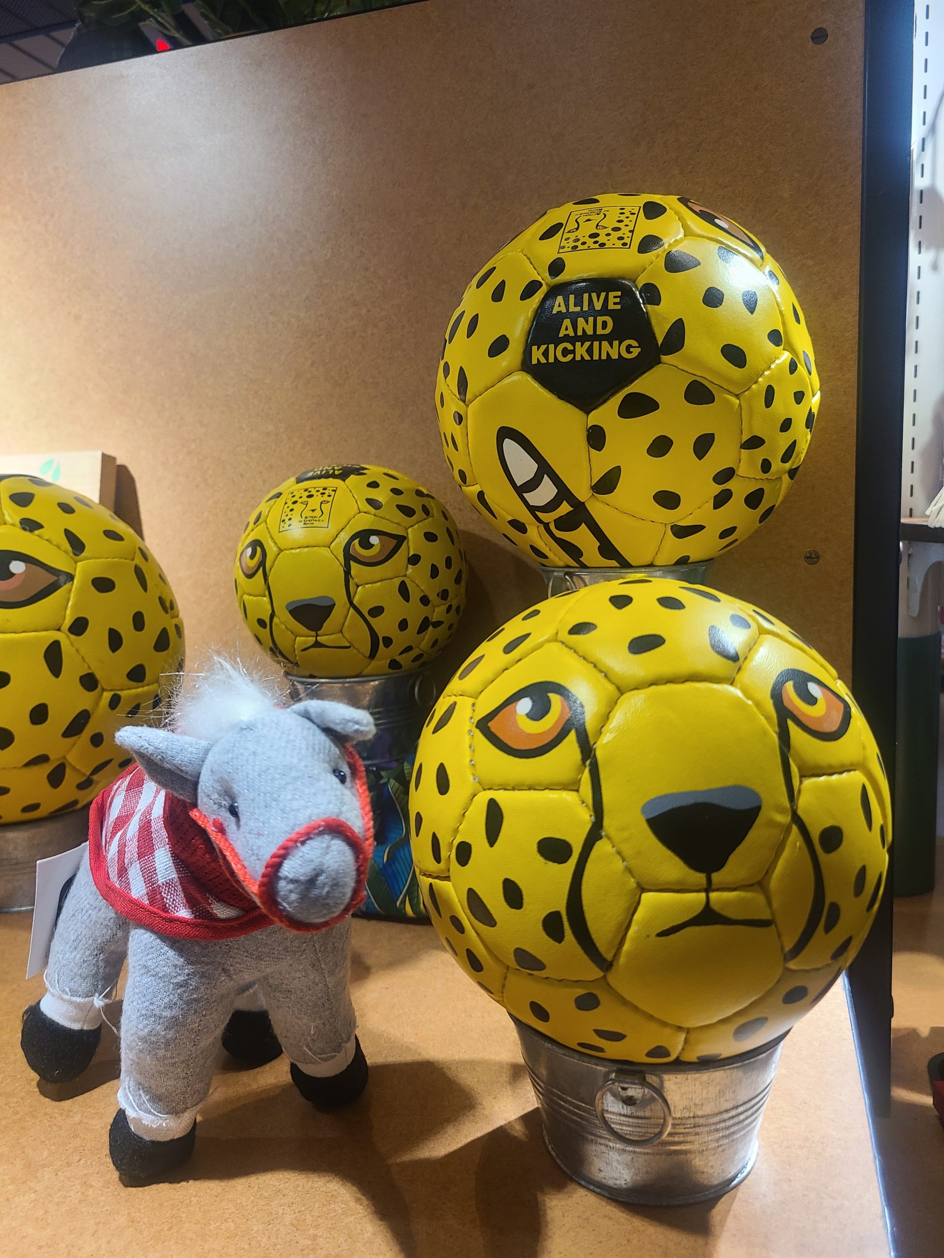 Potter Park 2022 Holiday Gift Guide Potter Park Zoo