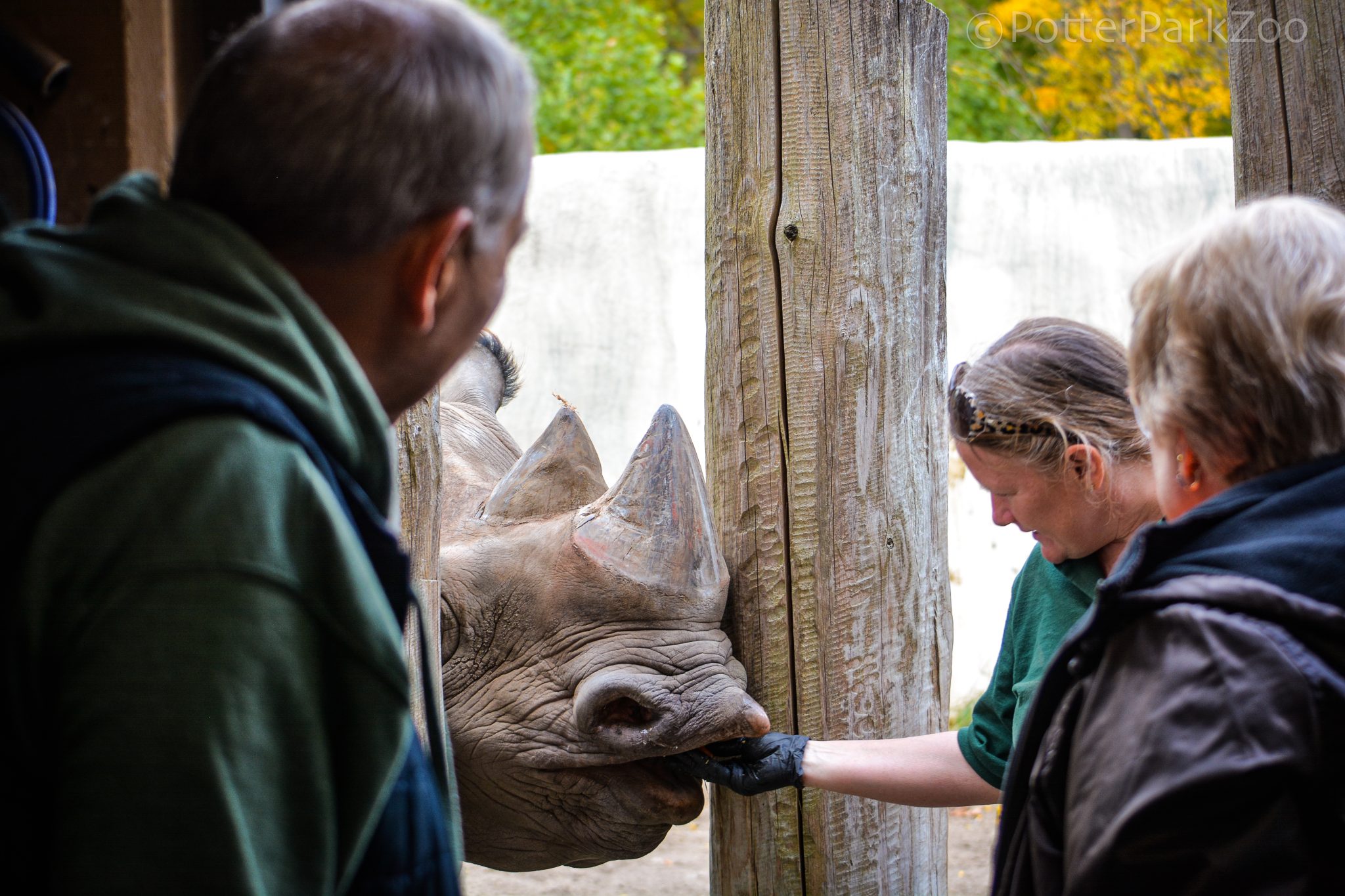 Potter Park 2022 Holiday Gift Guide Potter Park Zoo
