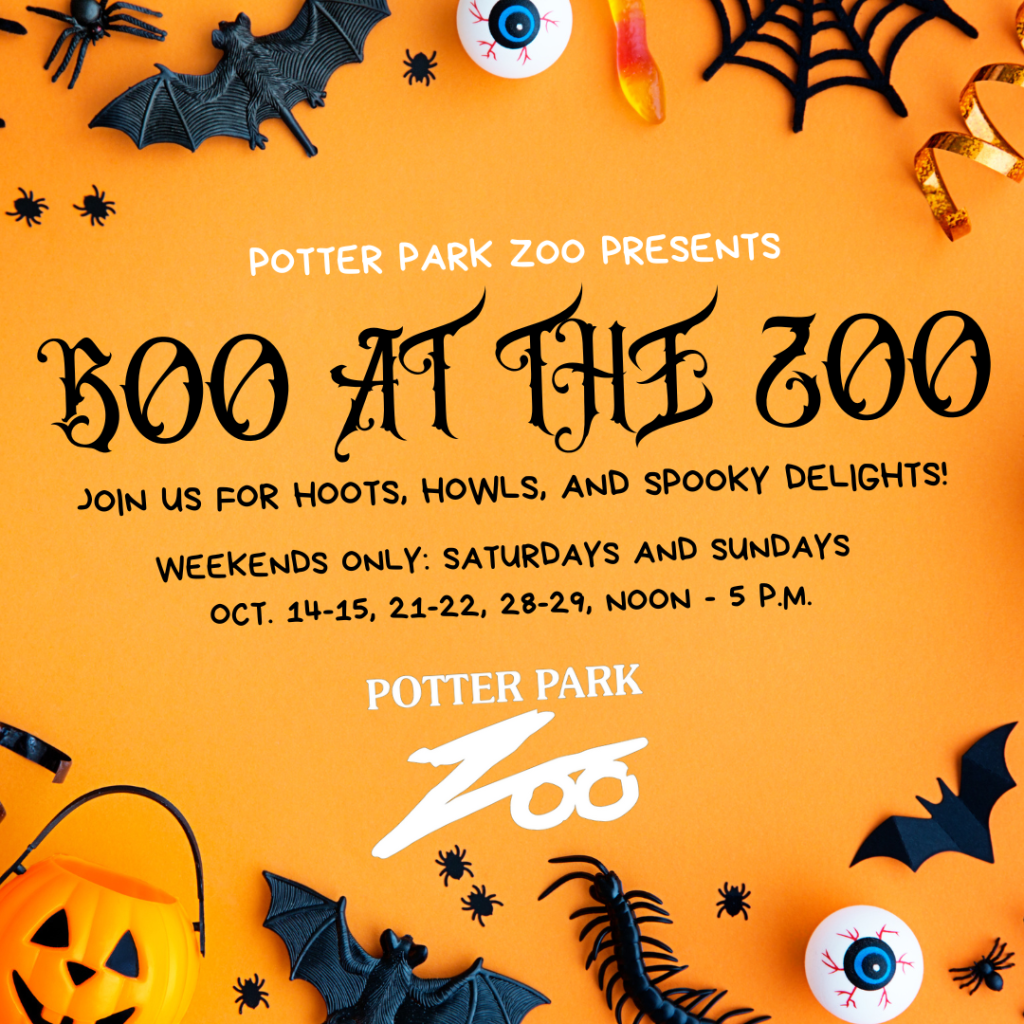 Boo At The Zoo 2024 Atlanta Ga Tickets Klara Michell