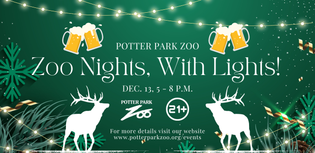 All Nights of Lights Events & Things to Do