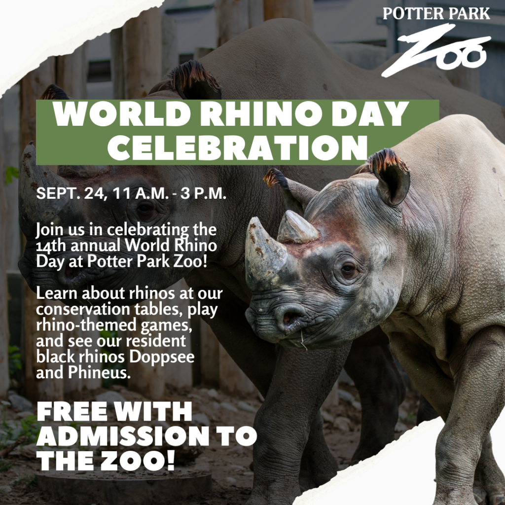 World Rhino Day Celebration