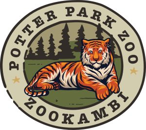 graphic of a tiger that says "Potter Park Zoo Zookambi".
