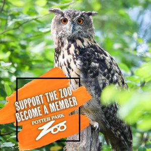 Photo of an owl with text off to the side that says "Support the Zoo. Become a member. Potter Park Zoo."