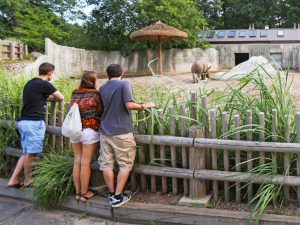 Zoo visitors enjoying the sites at the rhino enclosure