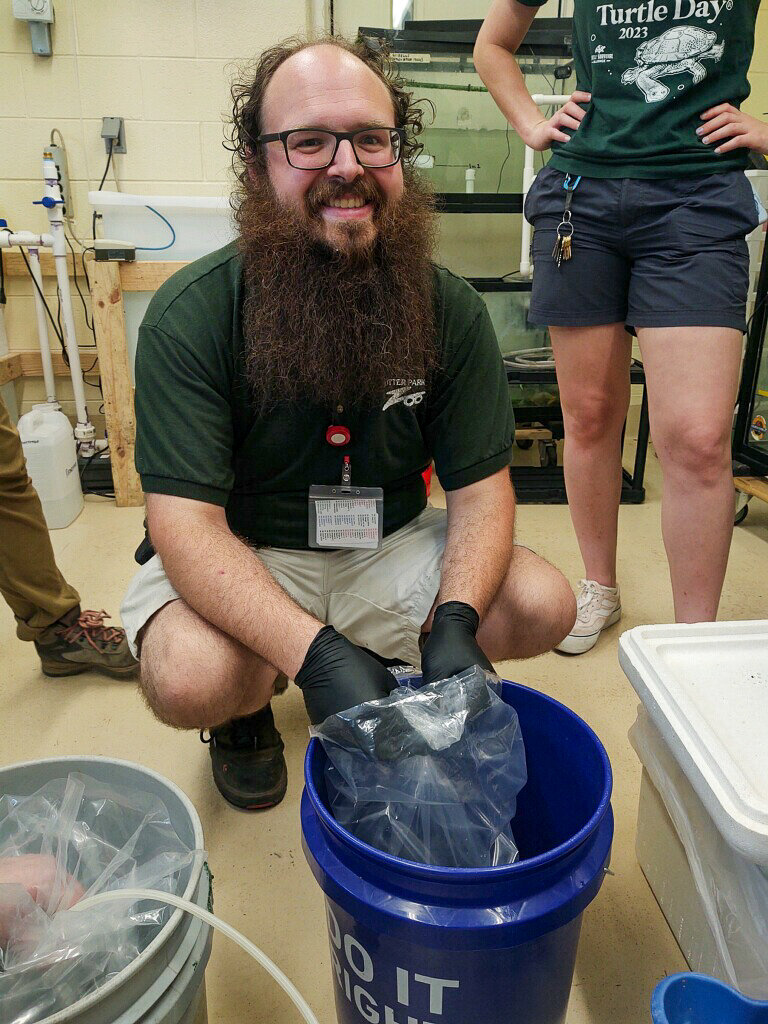 Potter Park Zoo Sends 2000 Tadpoles to Puerto Rico in a Critical ...