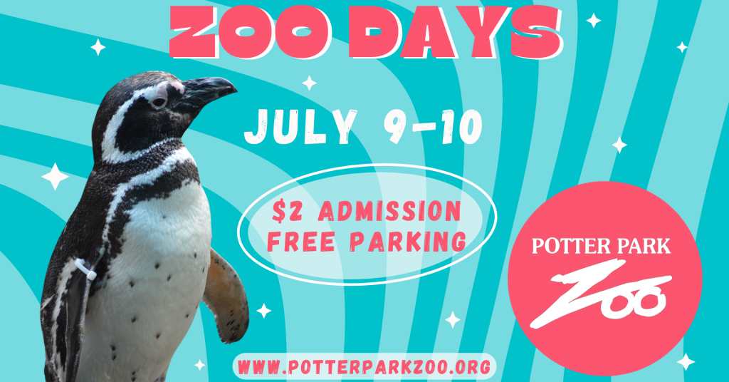 potter park zoo lights 2024 schedule