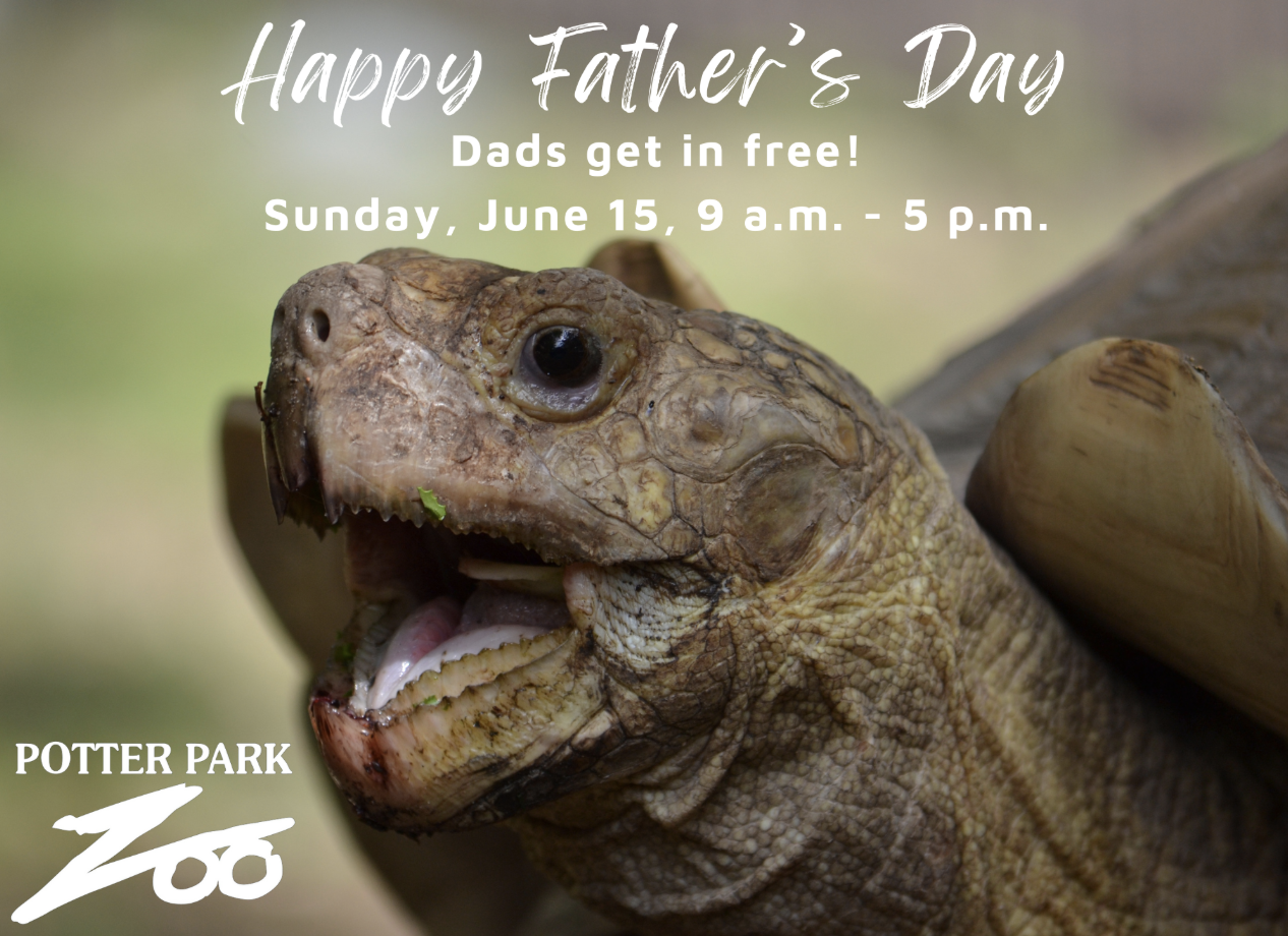 Fathers Day free admission