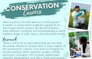 Conservation Careers Thumbnail