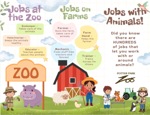Jobs with animals Tri-Fold -Early Elementary Thumbnail