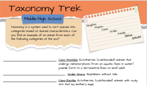 Taxonomy Scavenger Hunt Thumbnail